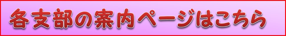 体験